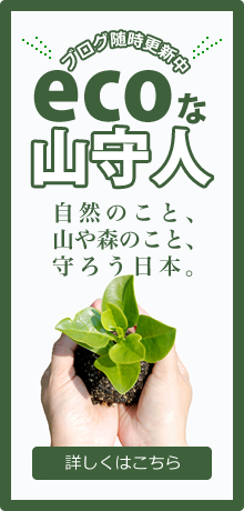 ecoな山守人